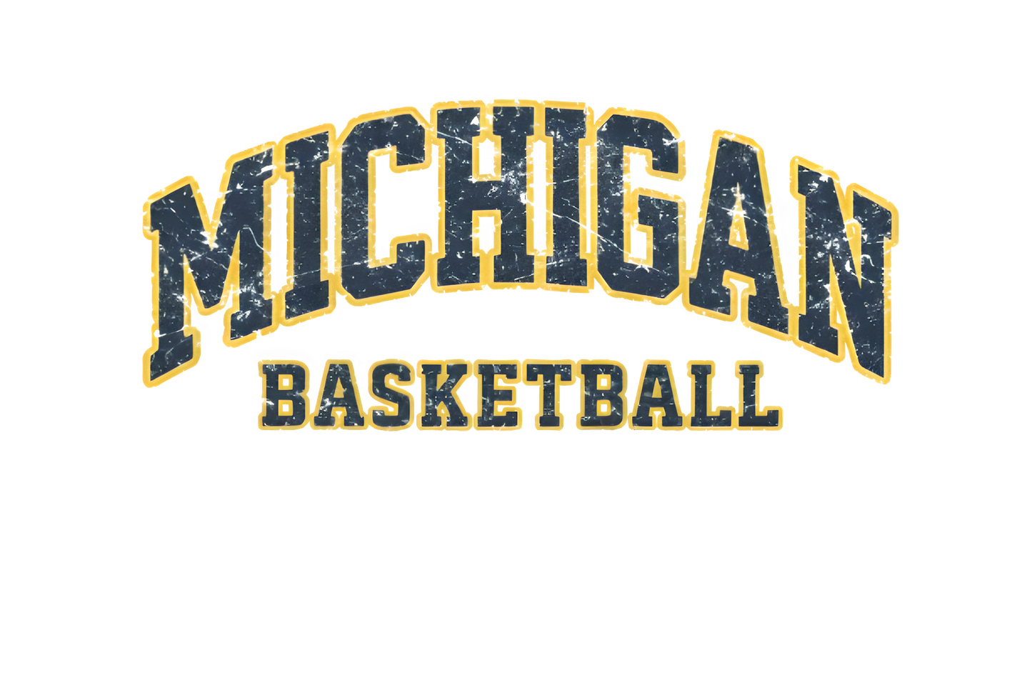 Michigan basketball Dtf transfer