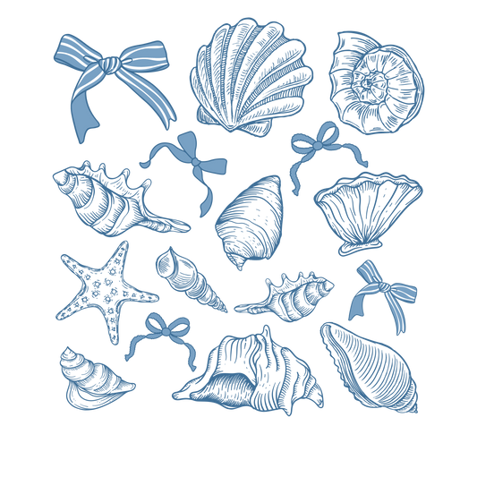 Coquette seashells