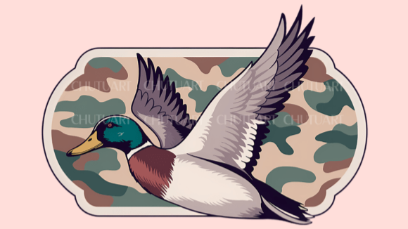 Flying mallard
