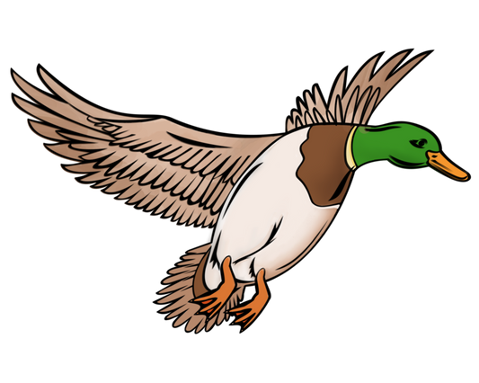 Duck around and find out set Dtf transfer