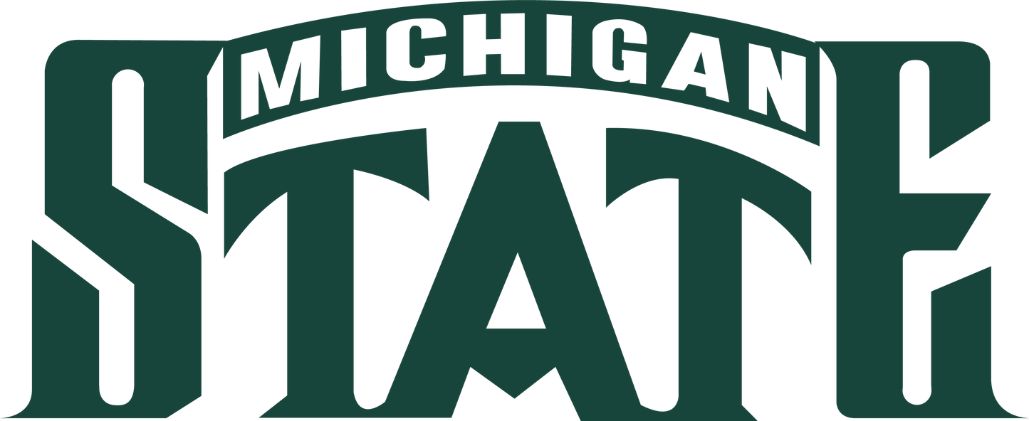 Michigan State Dtf transfer