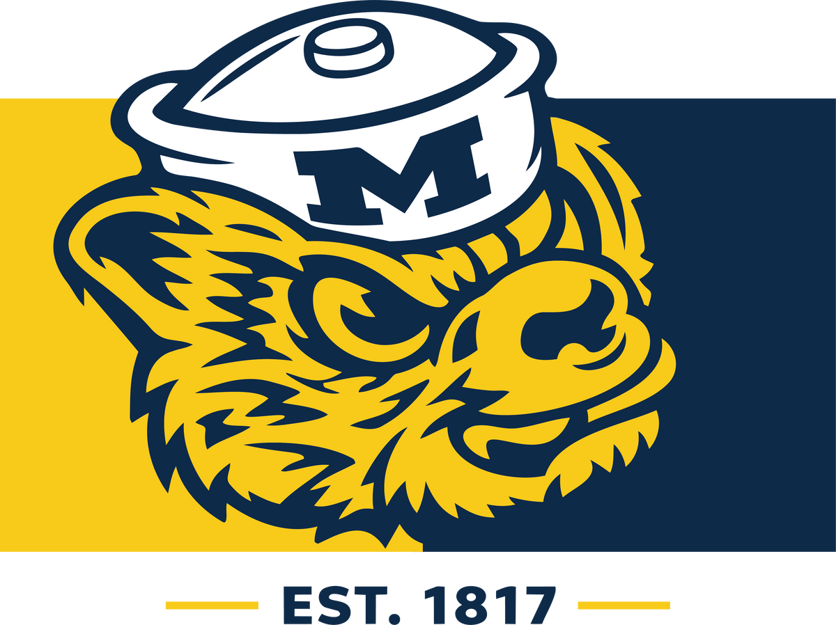 u of m maize & blue DTF TRANSFER