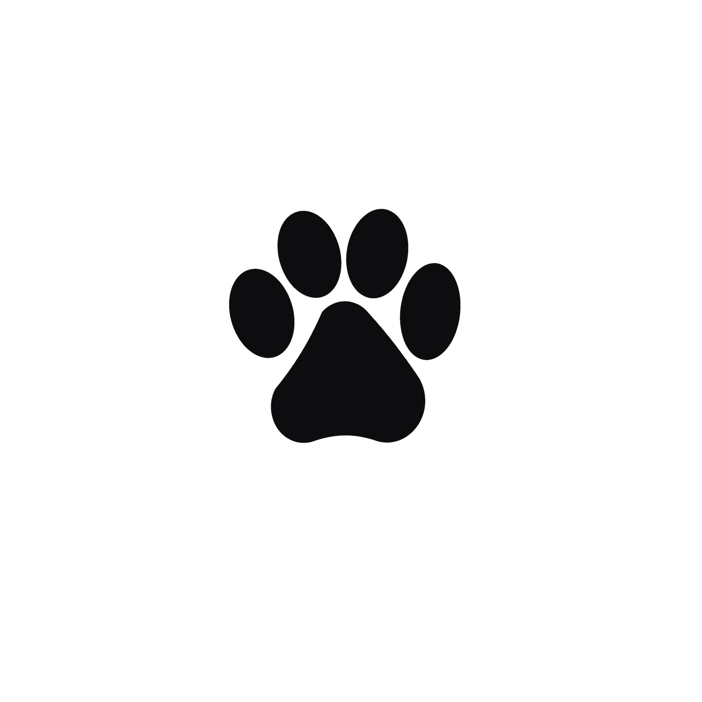 Every step paw set dtf transfer