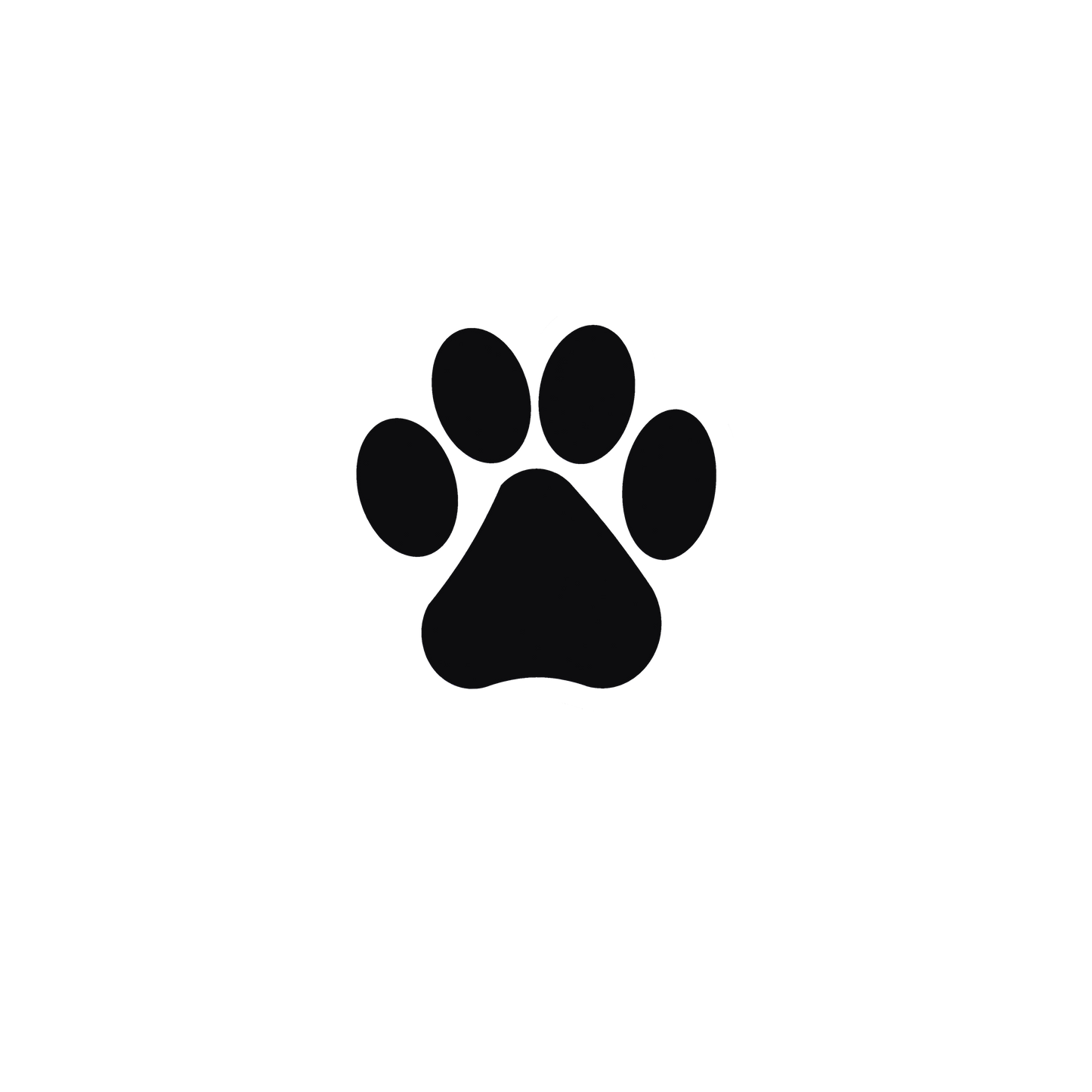 Every step paw set dtf transfer