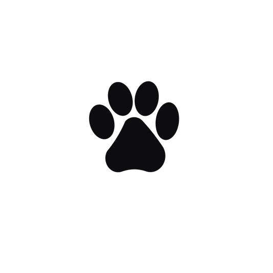 Every step paw set dtf transfer