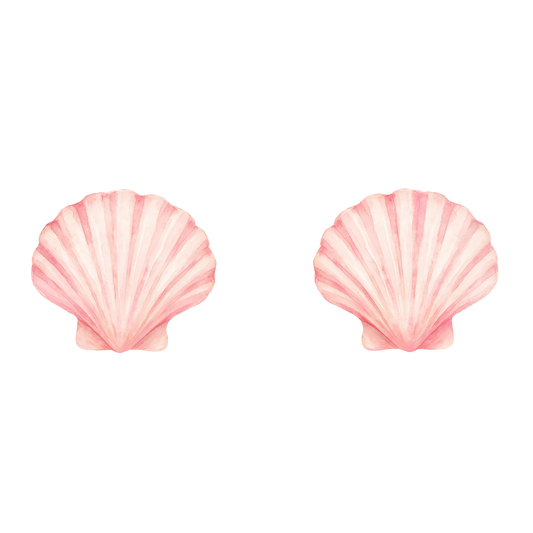 Shells 🐚 🐚