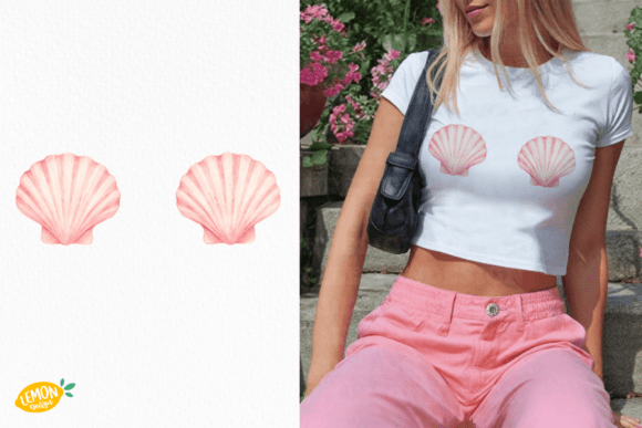 Shells 🐚 🐚