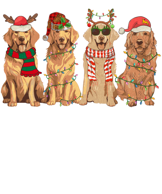 Golden retriever era set