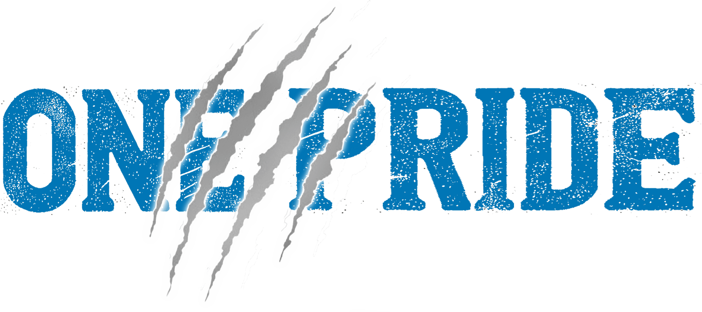 One pride DTF transfer