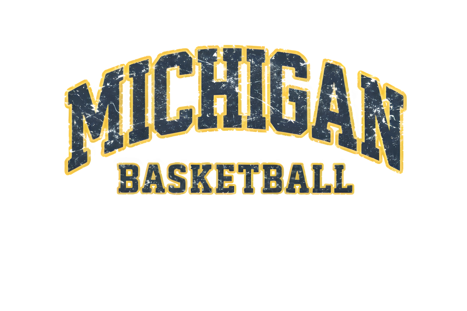 Michigan basketball Dtf transfer