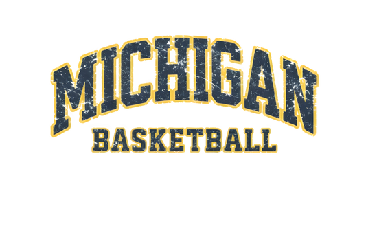 Michigan basketball Dtf transfer