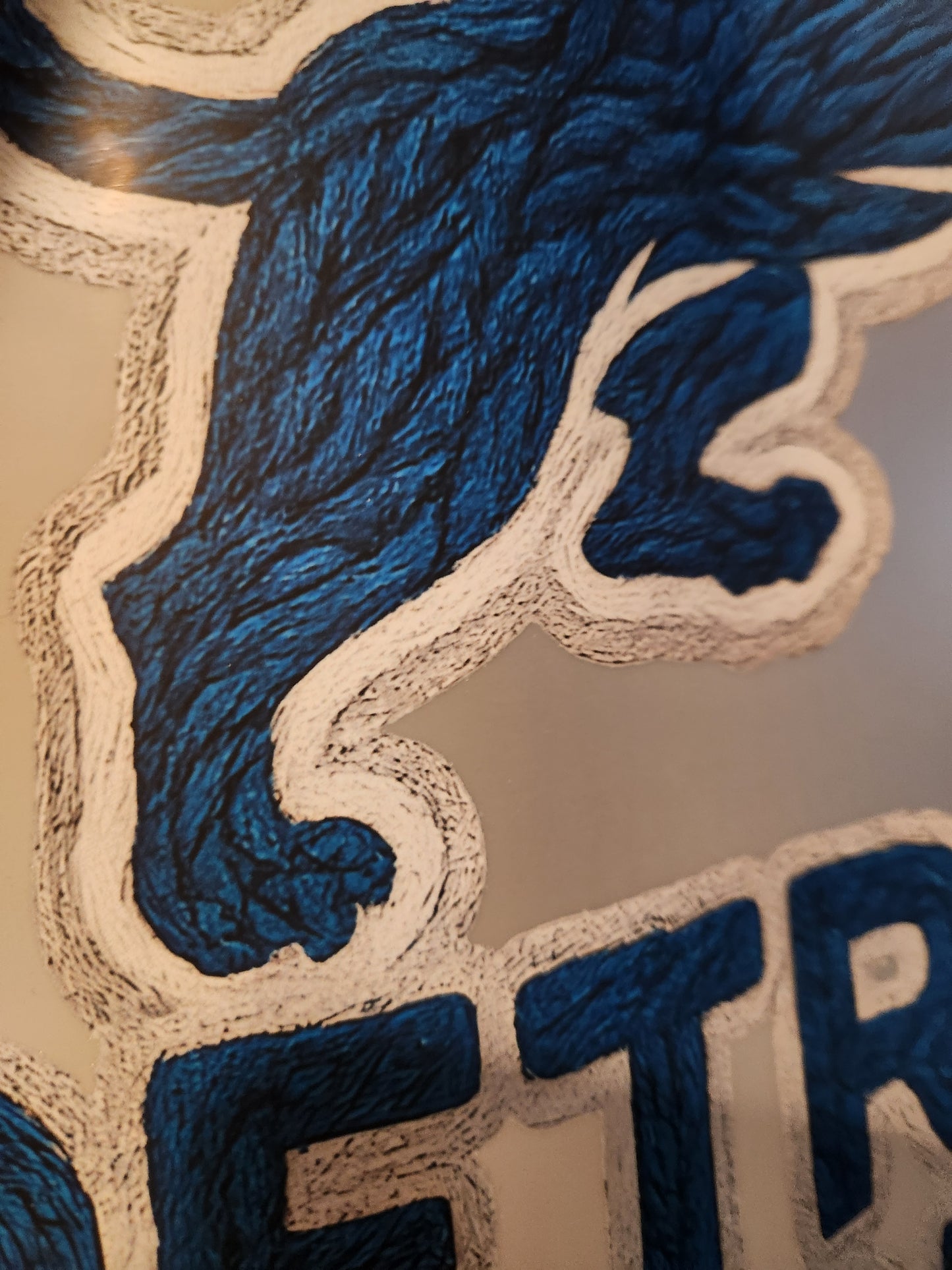 Dtf Mystery bag DETROIT LIONS 35 MIXED DTF TRANSFERS