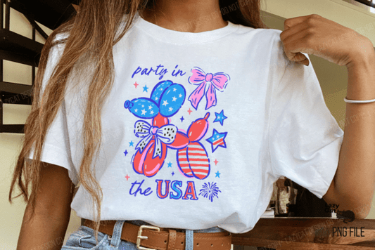 Balloon Dog party in the usa