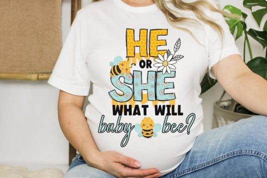 He or she what will the baby bee? Gender