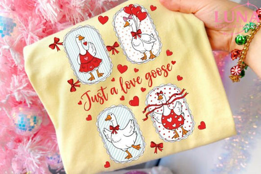 Just a love goose 🪿 💕 🎀♥️dtf transfer