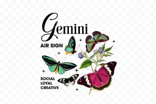Gemini ♊️