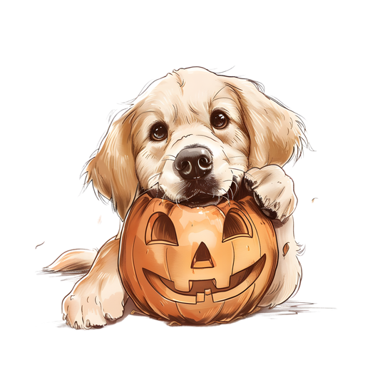 Golden 🎃 pumpkin