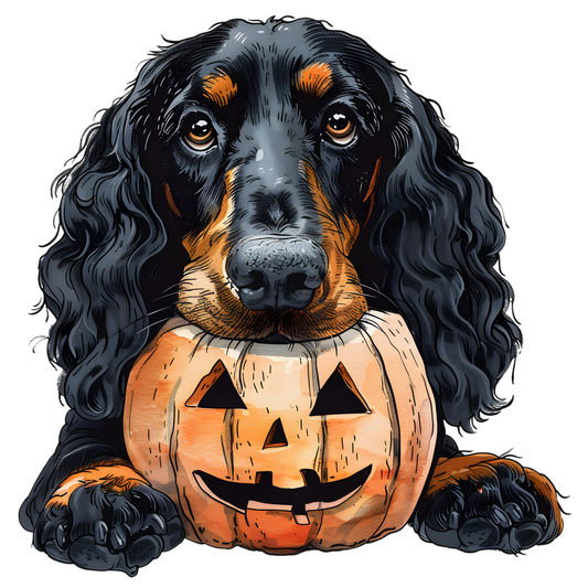 Setter pumpkin