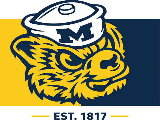 u of m maize & blue DTF TRANSFER