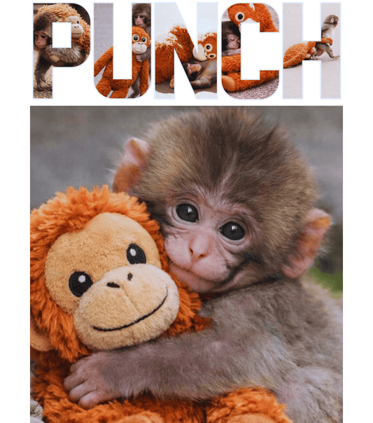 Punch #2 dtf transfer