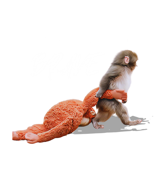 Small monkey climbing on a large orange plush toy on a white background