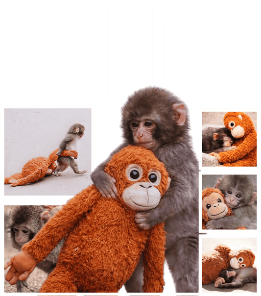 Punch #4 (white font) dtf transfer