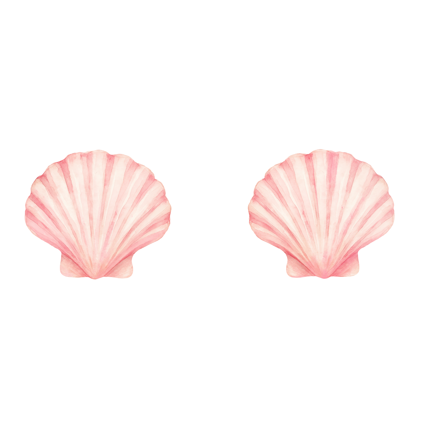 Shells 🐚 🐚