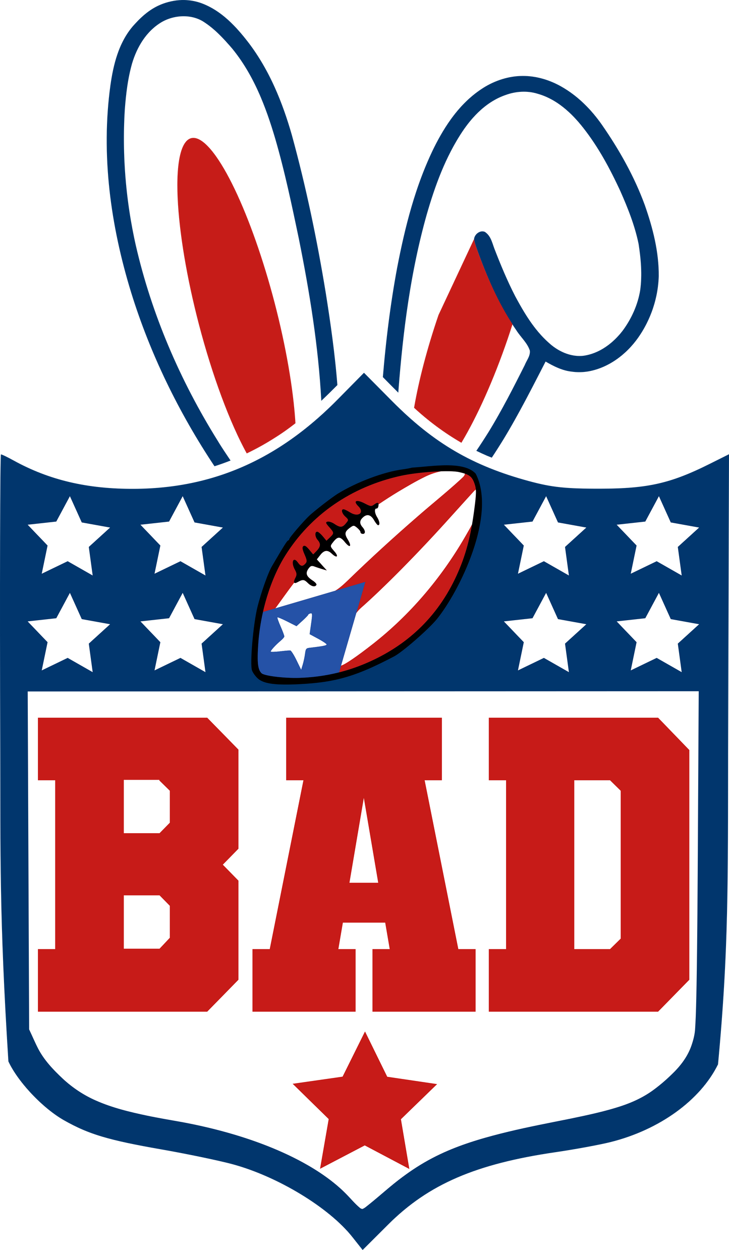 Bad Bunny  dtf transfer