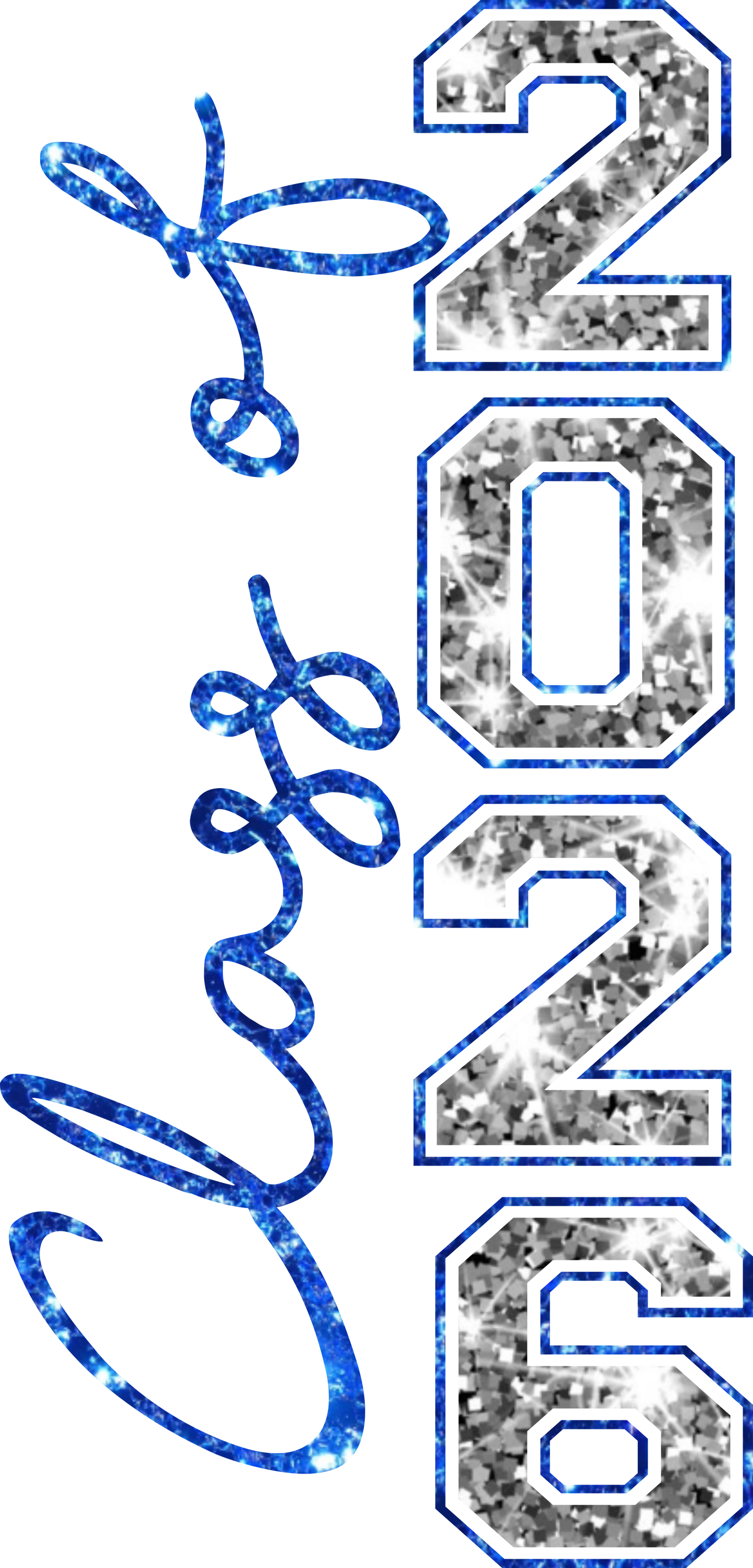 Faux Glitter Senior 2026  set DTF transfer