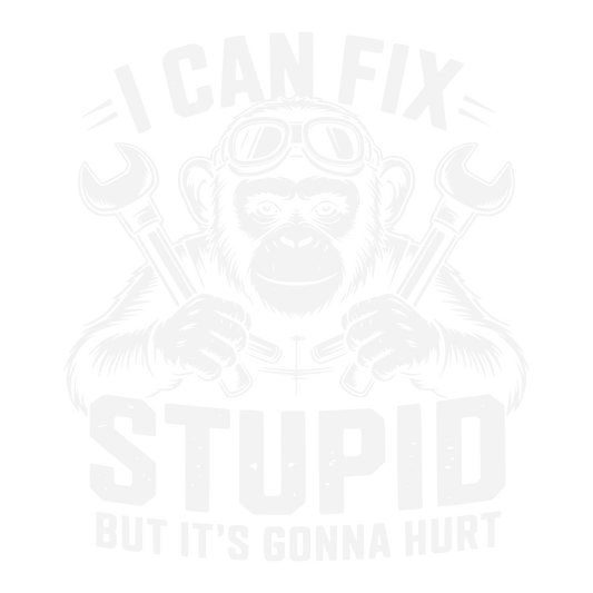 I can fix stupid but it's gonna hurt dtf transfer