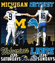 Michigan & Lions Dtf transfer