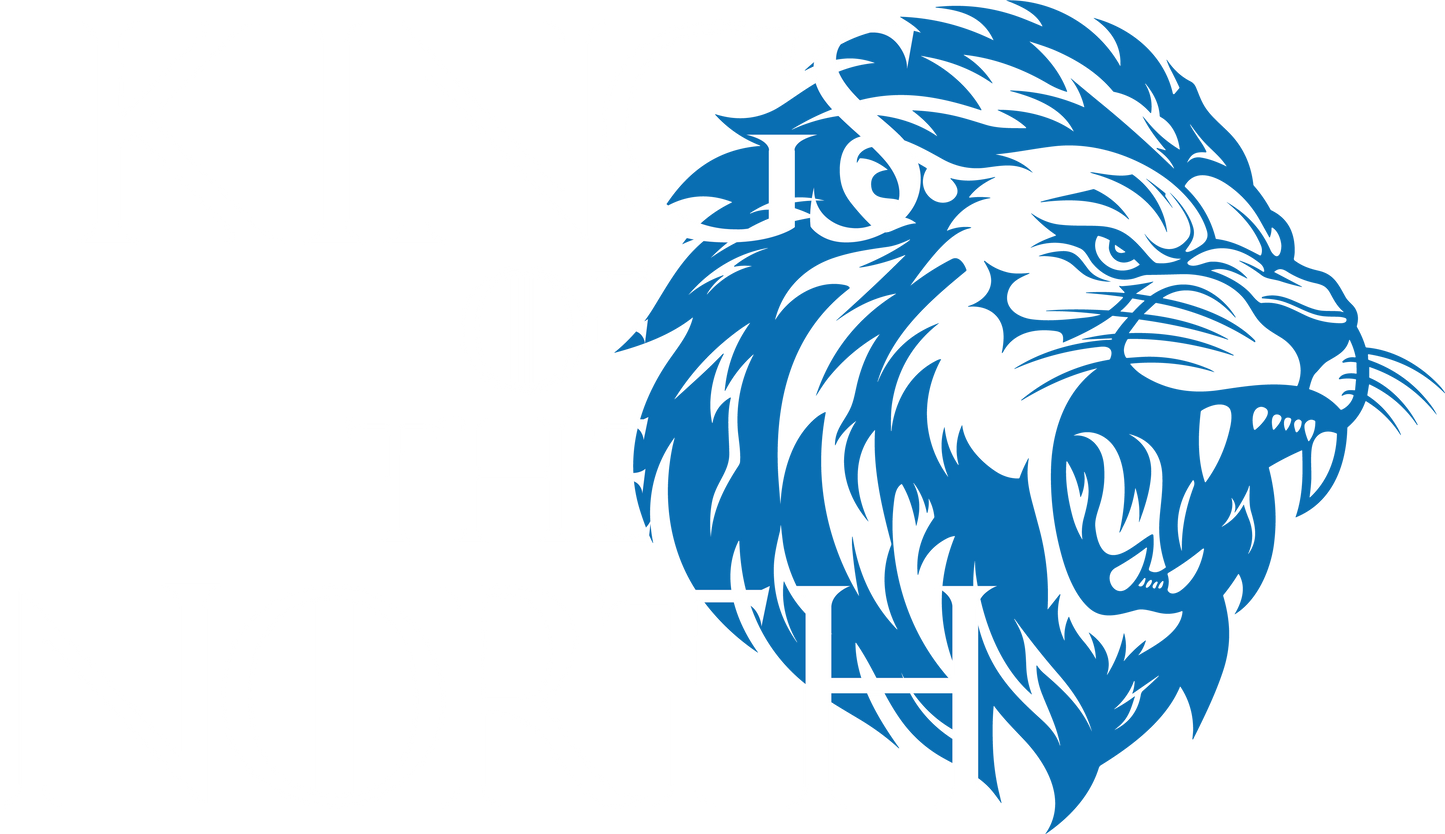 Kings of the North dtf transfer